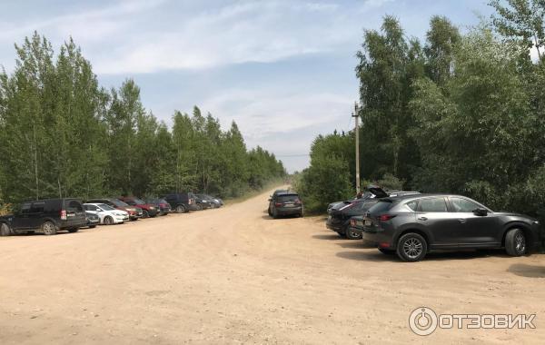 Зоопитомник Московского зоопарка фото