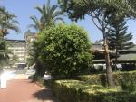 Отель Arancia Resort Hotel 5* (Турция, Алания) фото