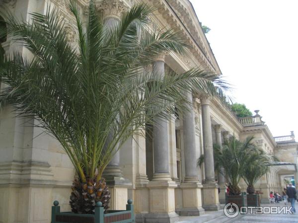 Отдых и лечение в г. Карловы Вары (Чехия, Карловарский край) фото