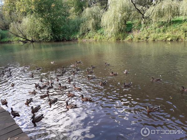 Природно-исторический парк Покровское-Стрешнево (Россия, Москва) фото