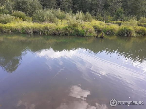 Природно-исторический парк Покровское-Стрешнево (Россия, Москва) фото