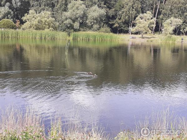 Природно-исторический парк Покровское-Стрешнево (Россия, Москва) фото