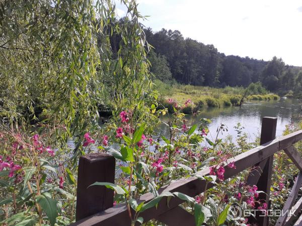 Природно-исторический парк Покровское-Стрешнево (Россия, Москва) фото