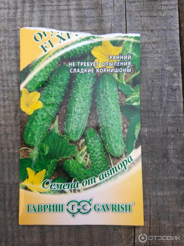 Сорт Огурца Хрустик Отзывы Фото
