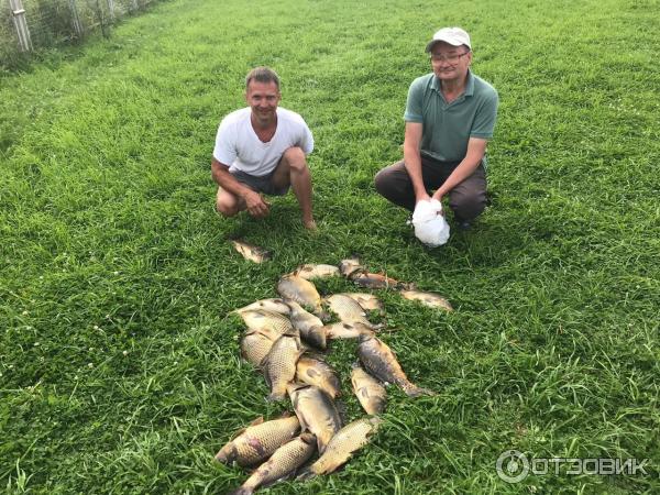 Рыбалка семкино 2 платная русфишинг форум