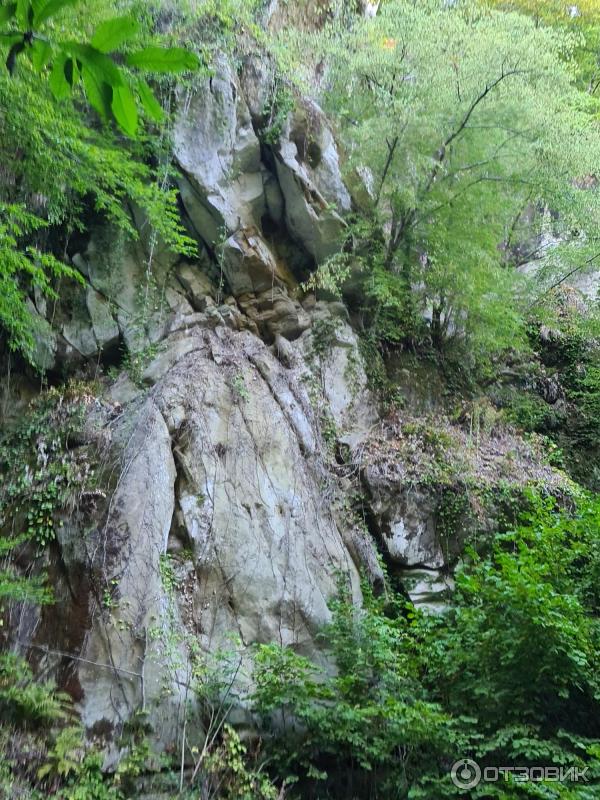 Волконский дольмен (Россия, Краснодарский край) фото