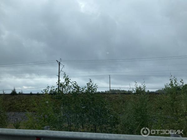 База отдыха Пихтовое (Россия, Ленинградская обл.) фото