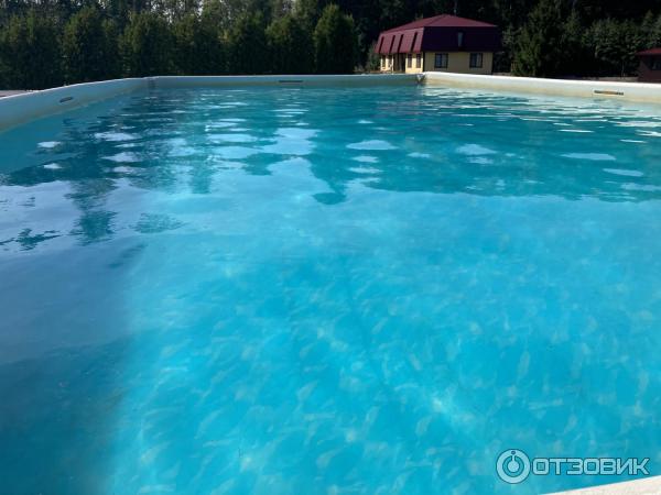 База отдыха Пихтовое (Россия, Ленинградская обл.) фото