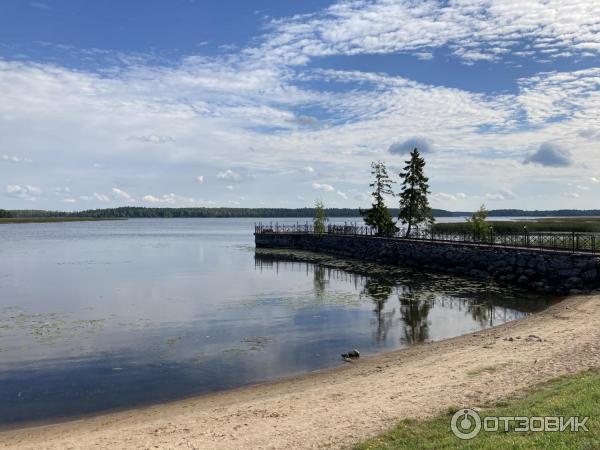 База отдыха Пихтовое (Россия, Ленинградская обл.) фото