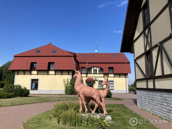 База отдыха Пихтовое (Россия, Ленинградская обл.) фото