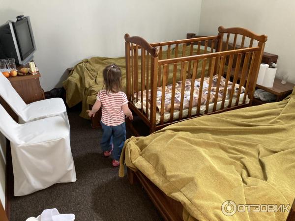 База отдыха Пихтовое (Россия, Ленинградская обл.) фото