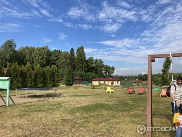 База отдыха Пихтовое (Россия, Ленинградская обл.) фото