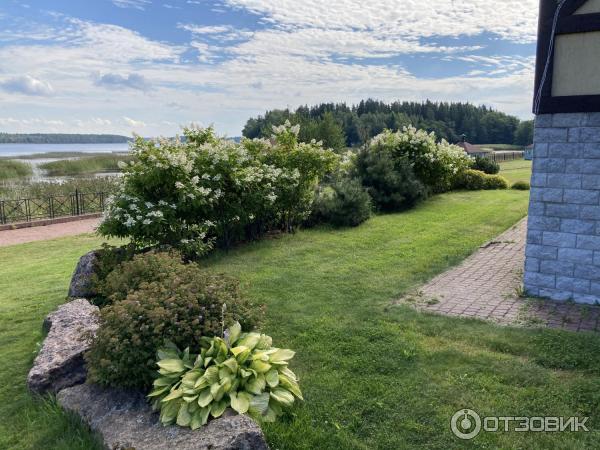 База отдыха Пихтовое (Россия, Ленинградская обл.) фото