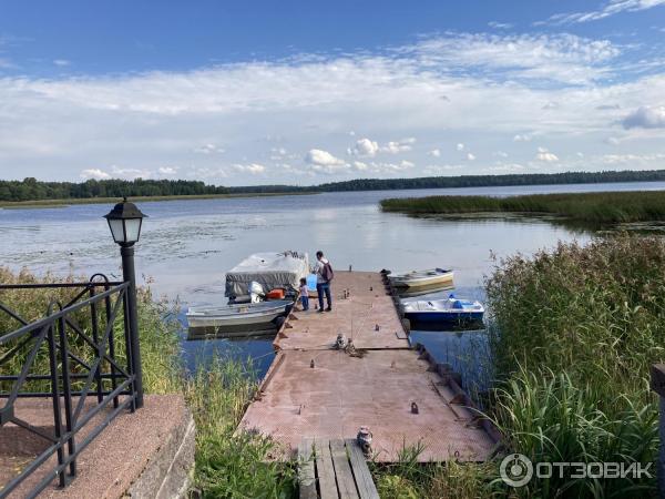 База отдыха Пихтовое (Россия, Ленинградская обл.) фото