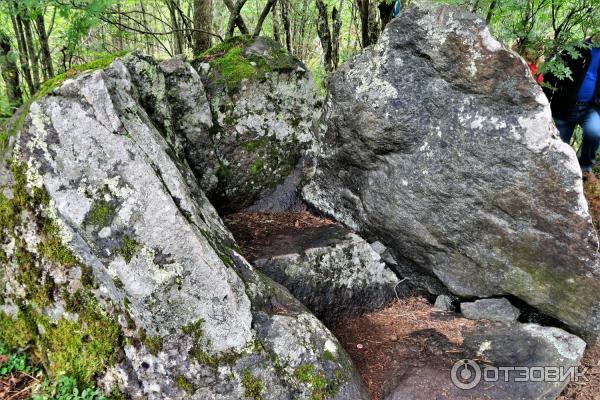 Экскурсионный тур Мистическая энергия Карелии с туроператором Шарм тревел фото