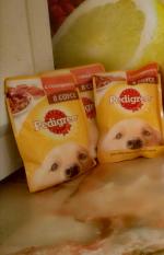 Корм для собак Pedigree с говядиной в соусе фото