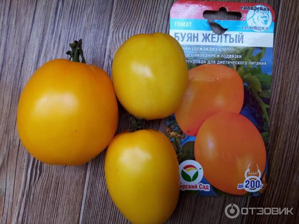 Томат Буян Желтый Отзывы Фото Урожайность