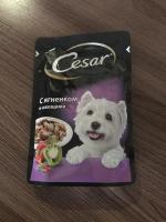 Корм для собак Cesar фото