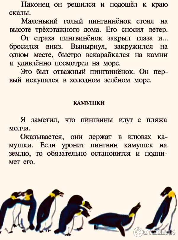 Стихи про пингвина для детей | Чурики