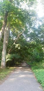 Отдых в Балтийске (Россия) фото