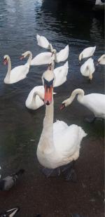 Отдых в Балтийске (Россия) фото