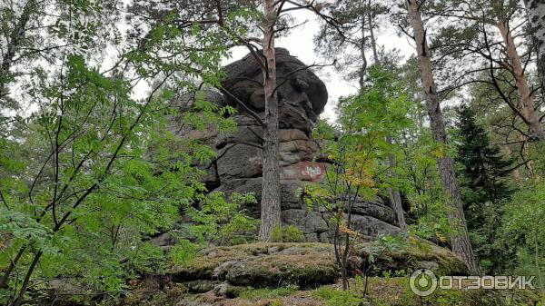 Скала Четыре Брата (Россия, Белокуриха) фото