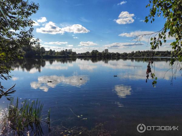 Смоленск подснежники