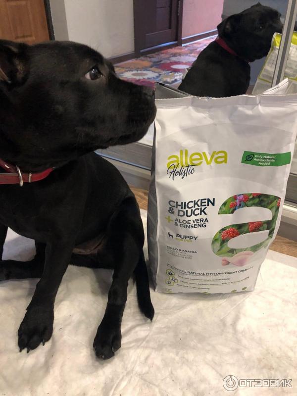 Стаффи с кормом Alleva holistic