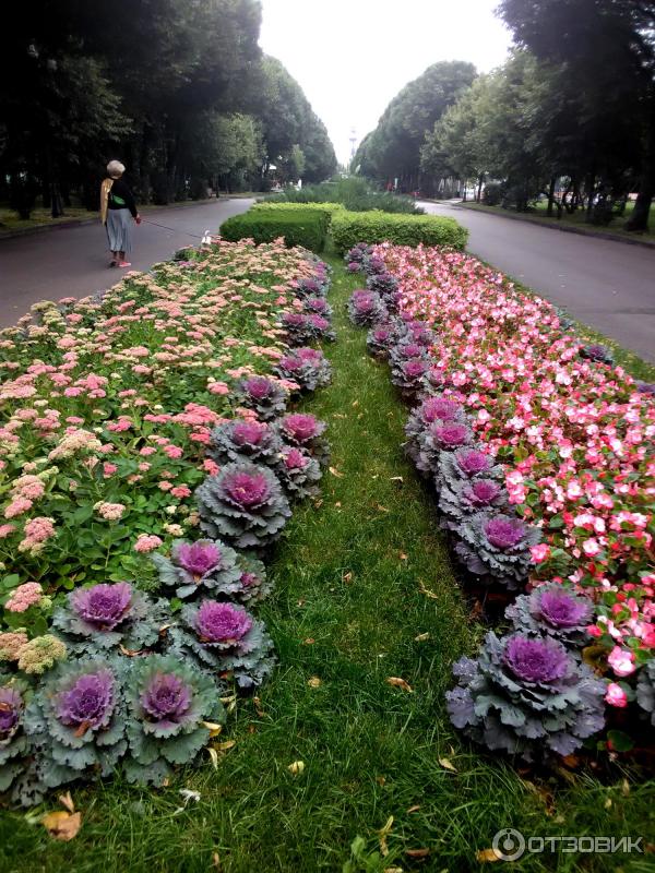 Центральный парк культуры и отдыха имени Горького (Россия, Москва) фото