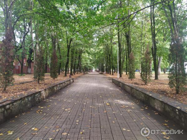 Отзыв о Чистяковская роща (Россия, Краснодар) Прекрасное место для отдыха