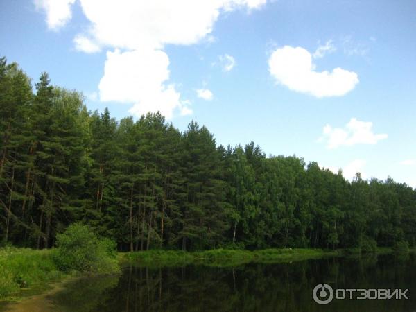 Бурой тиной гладь старинного пруда слушать. Река Серебрянка Новгородская область. Пруд Серебрянка Мордовия. Серебрянка речка Сафоново. Серебрянка река Москва.