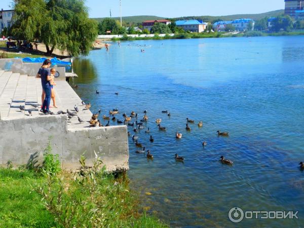 Лебединое озеро (Россия, Горячий Ключ) фото