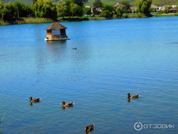 Лебединое озеро (Россия, Горячий Ключ) фото