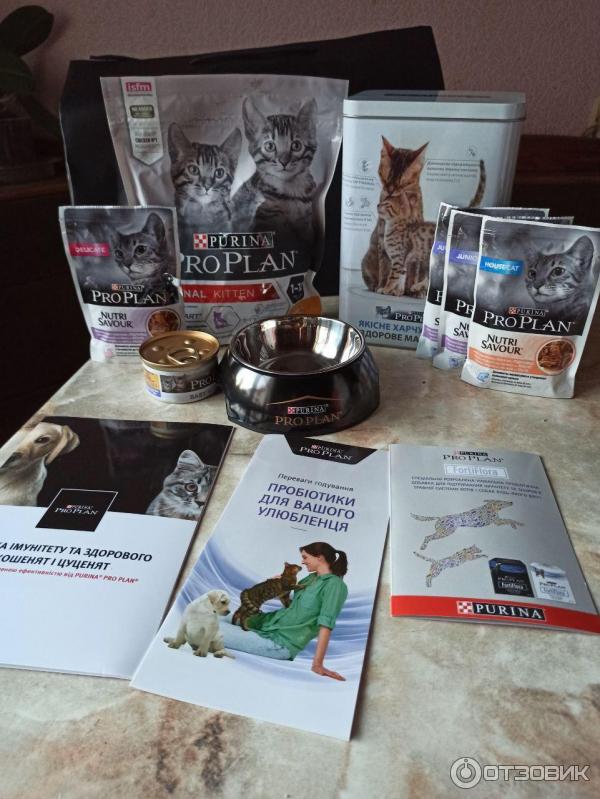 Сухой корм для котят, паштет в банке, жидкий корм. Purina Proplan