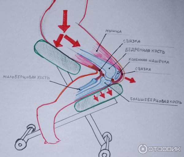 Чертежи коленного стула, делаем стул самостоятельно