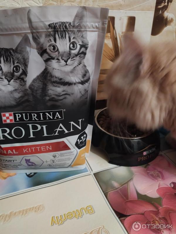 Корм для котят Purina Pro Plan фото