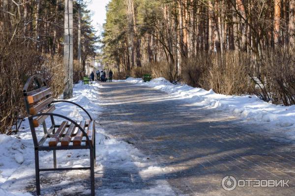 Парк Танаис г. Воронеж - дорожка с северной стороны на южную