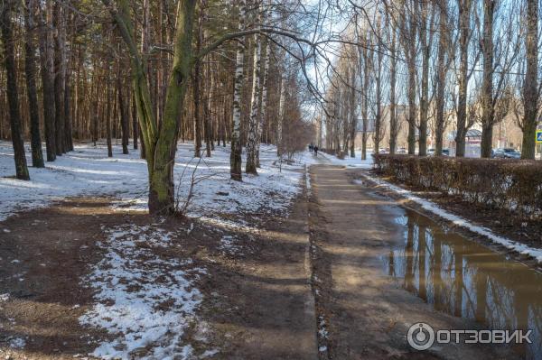 Парк Танаис г. Воронеж - вдоль Южно-Моравской улицы