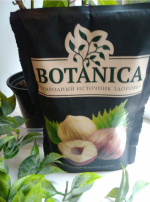 Фундук Botanica фото