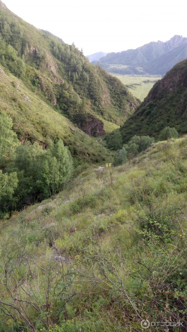 Урочище Че-Чкыш (Россия, Алтай) фото