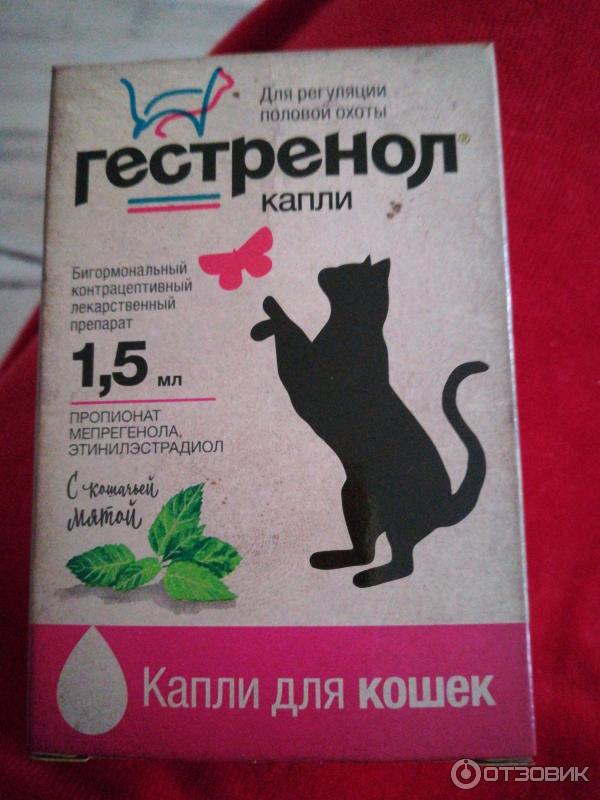 Гестренол Для Кошек Капли Цена