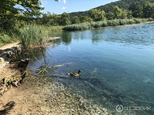 Национальный парк Плитвицкие озера (Хорватия, Лицко-Сеньская жупания) фото