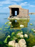 Отдых в Балтийске (Россия) фото