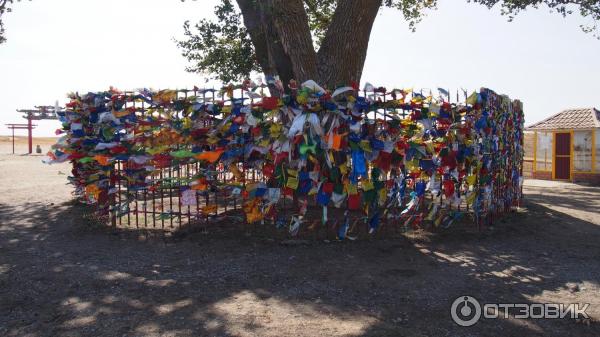 Комплекс Одинокий тополь (Россия, Калмыкия) фото