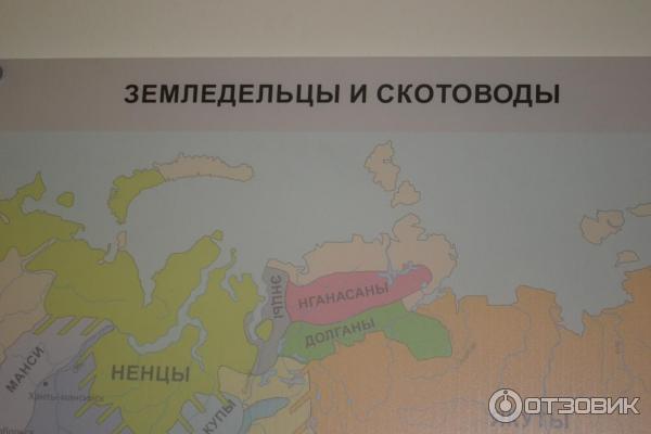 Постоянная экспозиция Сибирь в древности в Новосибирском краеведческом музее (Россия, Новосибирск) фото