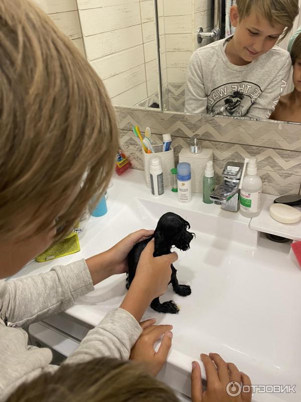 РАКОВИНА НАД СТИРАЛЬНОЙ МАШИНОЙ SOLO BLUES 80X55 (СОЛО БЛЮЗ) фото