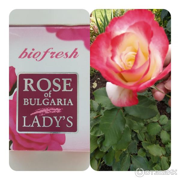 Крем для кожи вокруг глаз Biofresh Rose of Bulgaria фото