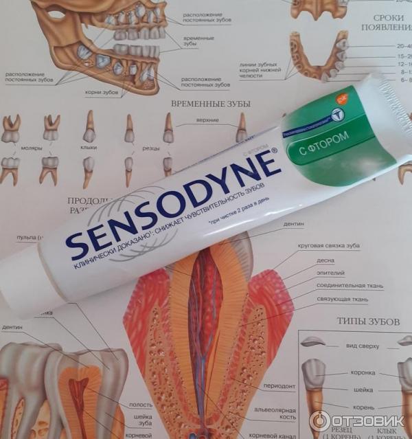 Зубная паста для чувствительных зубов Sensodyne c фтором фото