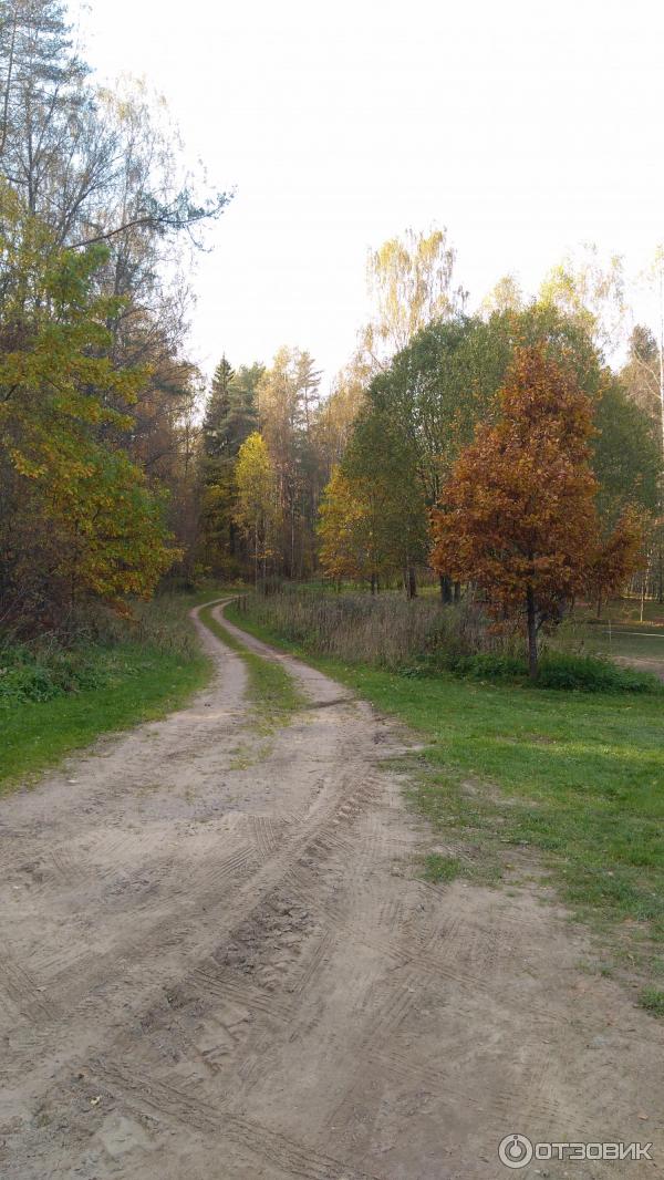 Загородный комплекс отдыха Чукавино (Россия, Тверская область) фото