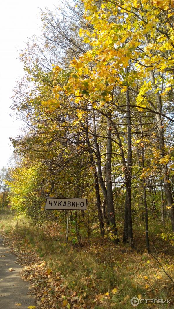 Загородный комплекс отдыха Чукавино (Россия, Тверская область) фото